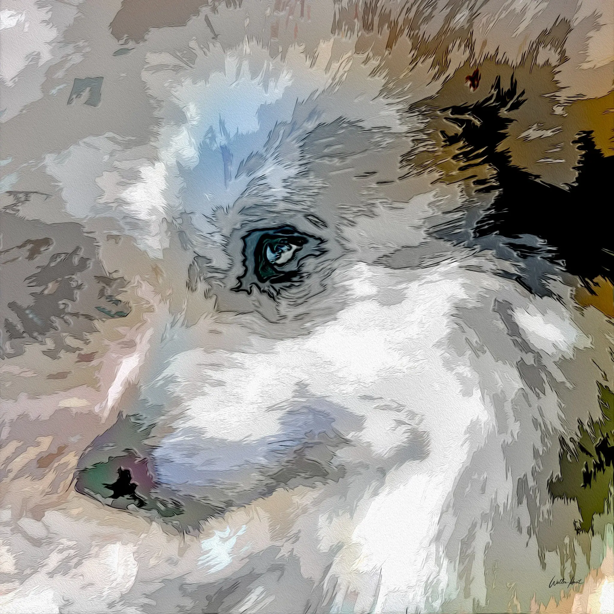 Abstract photographic artwork of a wolf